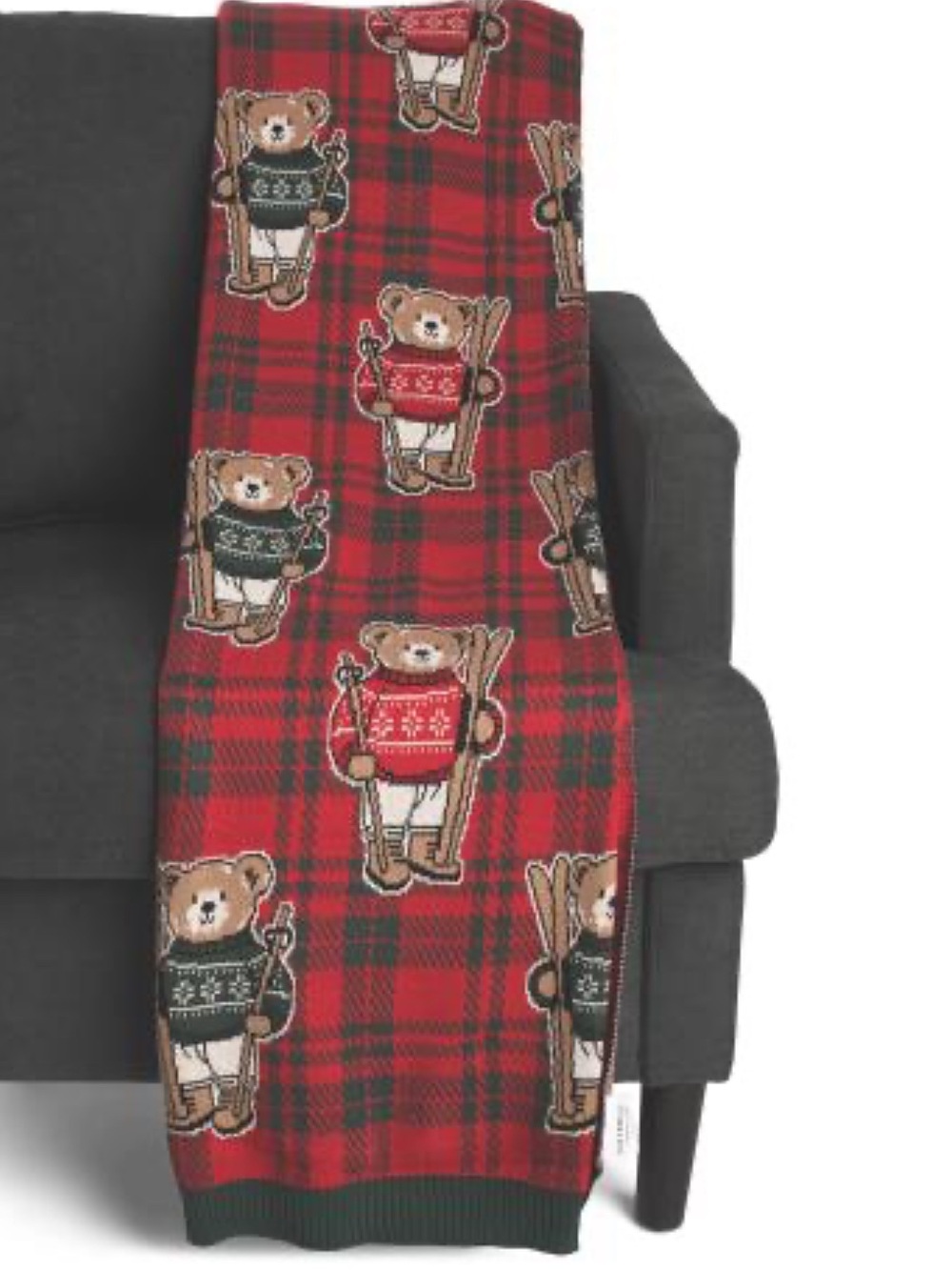 Teddy Bear Plaid Ski Blanket